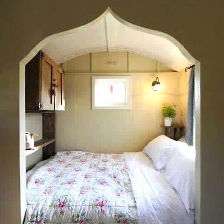 Beech Shepherds Hut York Zewnętrze zdjęcie