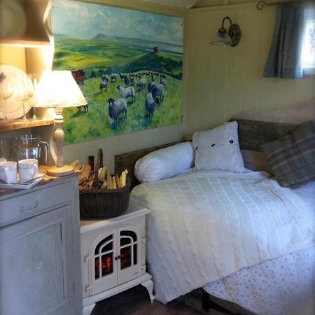 Beech Shepherds Hut York Zewnętrze zdjęcie